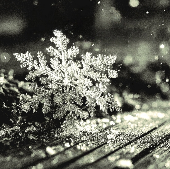 ❤  Support Closet ♥ With Gift 💝 - Picture 1 of 2